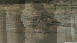 VivThomas - Betrayed