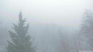 VivThomas - Morning-Love