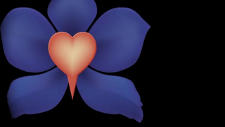 Oil and Feet Loving Lesbian Massage - Massage Rooms