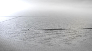 Leaving Boot Camp To Eat Some Pussy - ConfessionsXXX