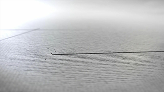 A Completely Hot Lesbian Encounter - ConfessionsXXX