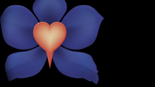 Lesbian massage therapy - Massage Rooms