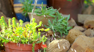 GirlsWay - My Squirting Girlfriend