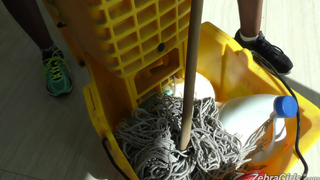 ZebraGirls - Natasha Nice, Ashely Pink And Lacey London