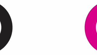 GirlGirl - Girls With Cameras: Pussy Pot Luck