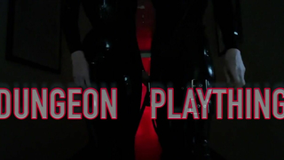 PhoenixStudio - Dungeon Plaything