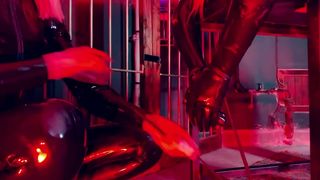 PhoenixStudio - Dungeon Plaything