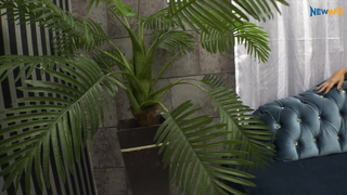 FootFetishInBrazil - Lesbian Latina Action 14