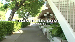 Powermunch - Yoga Munch