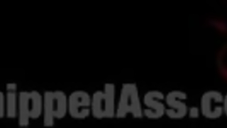 WhippedAss - The Fan Girl Lesbian Slut Bound, Spanked, And Strap-on Fucked