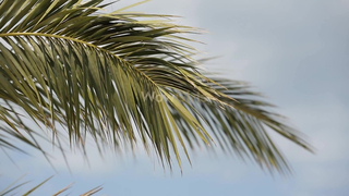 WowGirls - Make My Life Complete