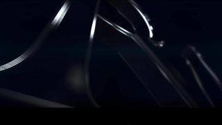 HarmonyVision - Exquisite slits