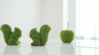 ACZD-190 Pre Mom's Pregnancy Lesbian Affair