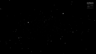 HOKS-132 - Lesbian Adhesion Cat