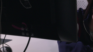 STRAPLEZZ -  Casey Nohrman - Body Double