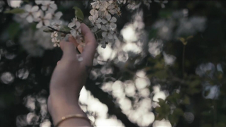 JEWELZ BLU - Adria Rae - Aphrodites Love Spell