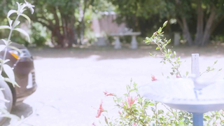 GirlsWay - Siri Dahl - Flower Delivery