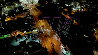 KSU COLT - Wild Tali - Stretch For Halloween